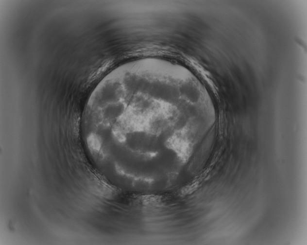 X0000095110153200801041208