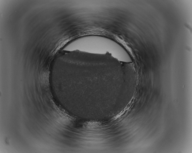 X0000095110154200801041208