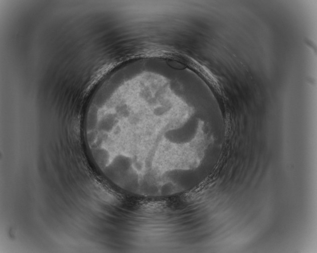 X0000095110155200801041208