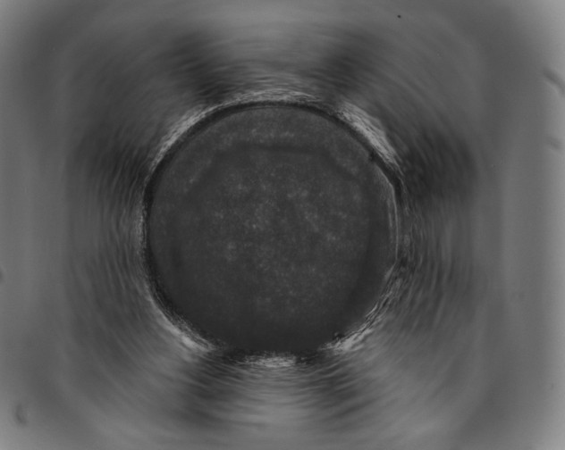 X0000095110156200801041208