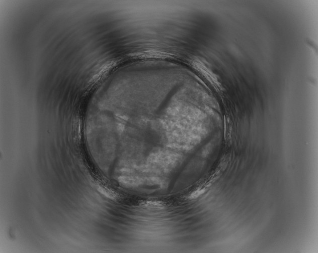 X0000095110157200801041208
