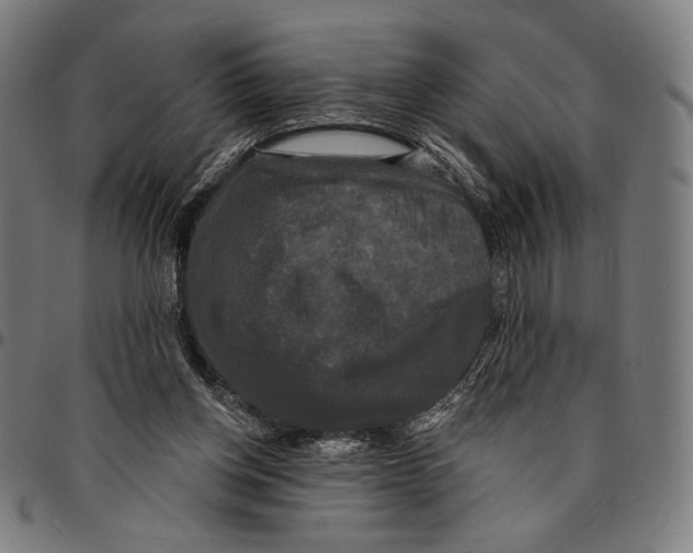 X0000095110158200801041208