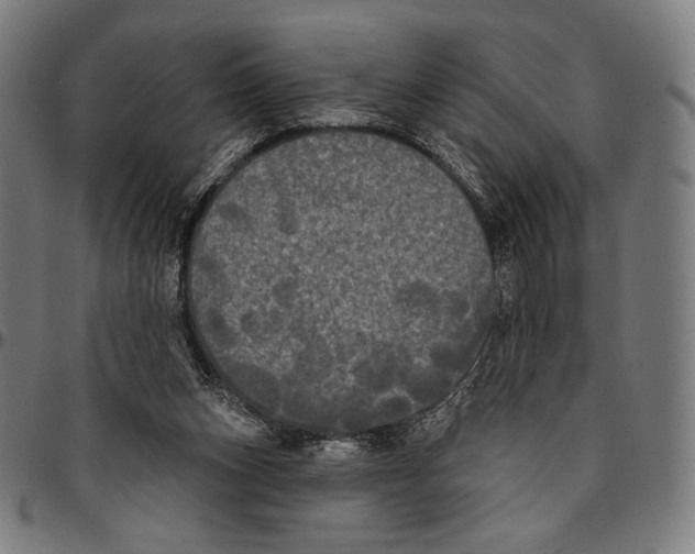 X0000095110159200801041208