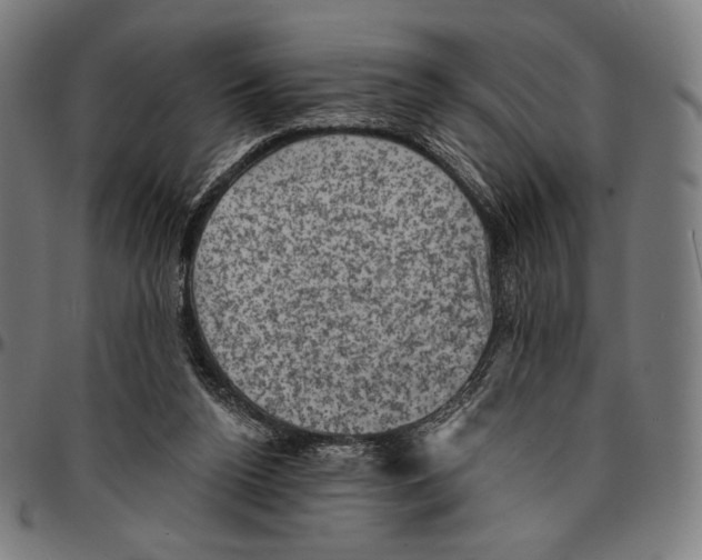 X0000095110160200801041208