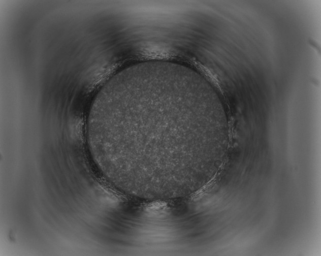 X0000095110162200801041208