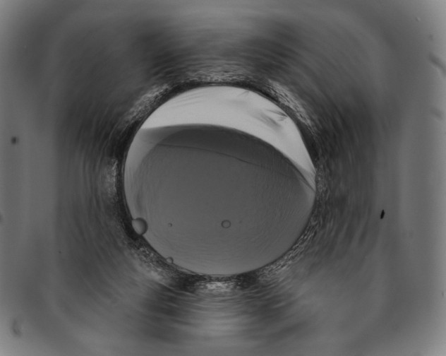 X0000095110163200801041208