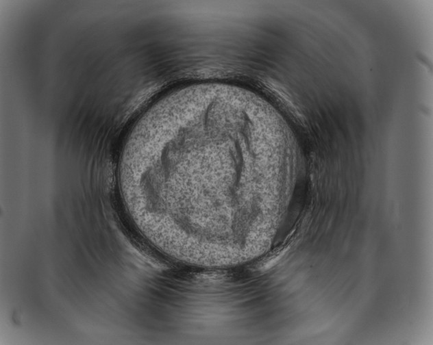 X0000095110164200801041208