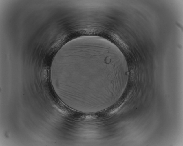 X0000095110165200801041208