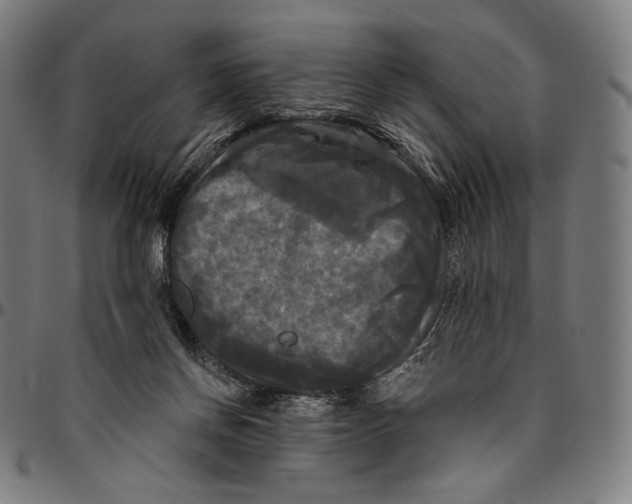 X0000095110166200801041208