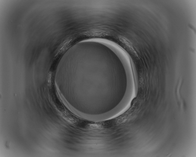 X0000095110167200801041208
