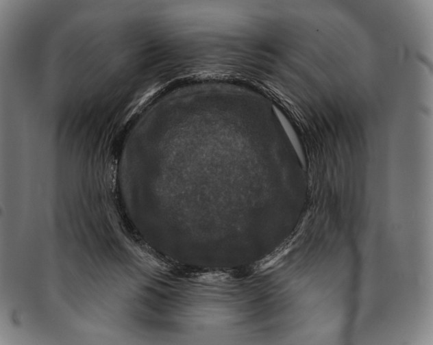 X0000095110168200801041208