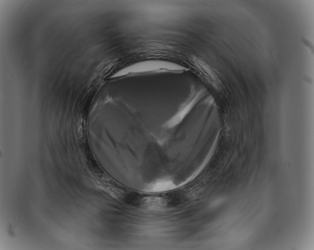 X0000095110169200801041208