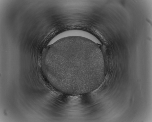 X0000095110170200801041208