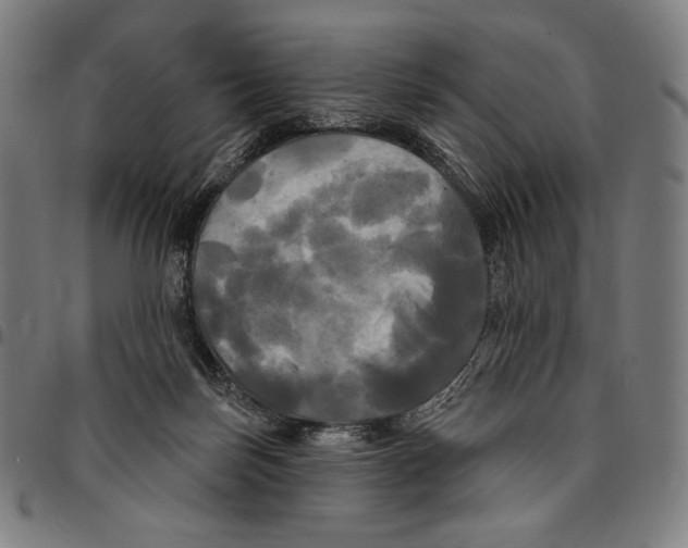 X0000095110171200801041208