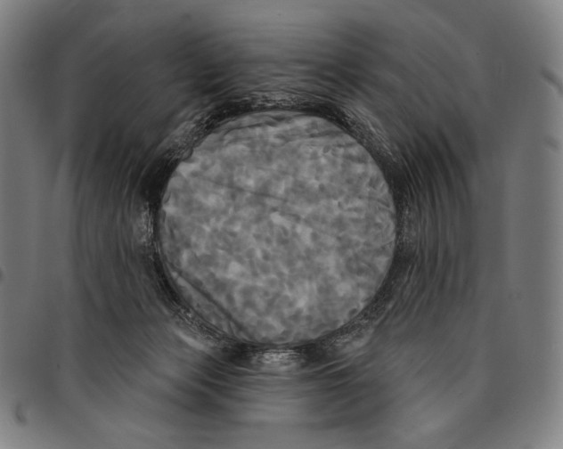 X0000095110173200801041208