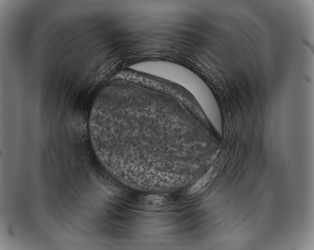 X0000095110176200801041208