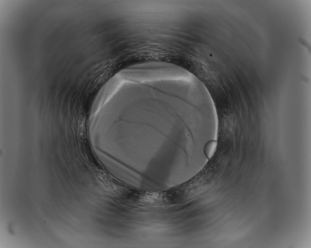 X0000095110177200801041208