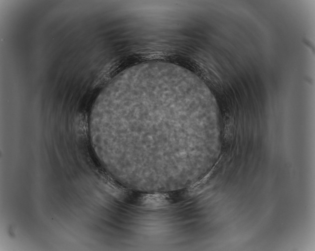 X0000095110179200801041208