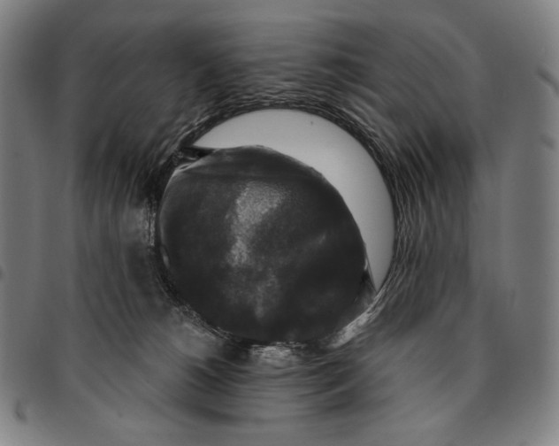 X0000095110180200801041208