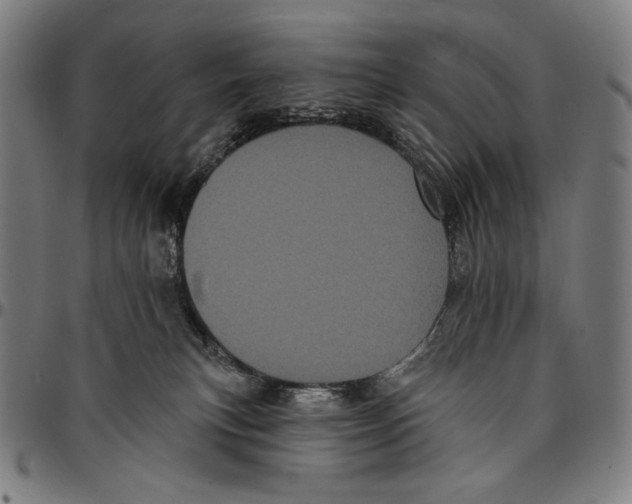 X0000095110183200801041209