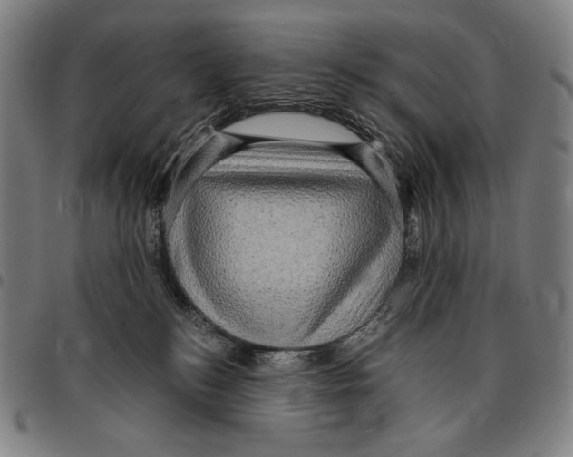 X0000095110184200801041209