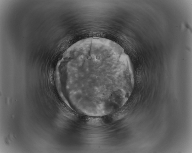 X0000095110185200801041209