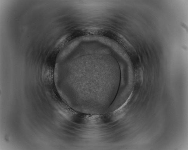 X0000095110186200801041209