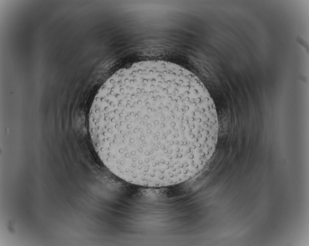 X0000095110187200801041209