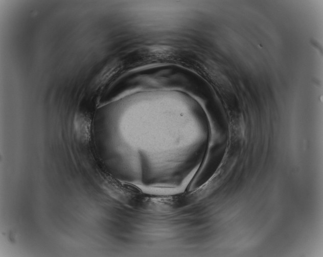 X0000095110188200801041209