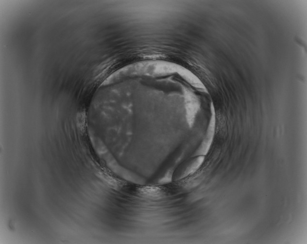 X0000095110189200801041209