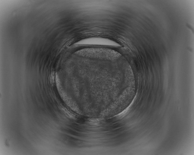X0000095110190200801041209