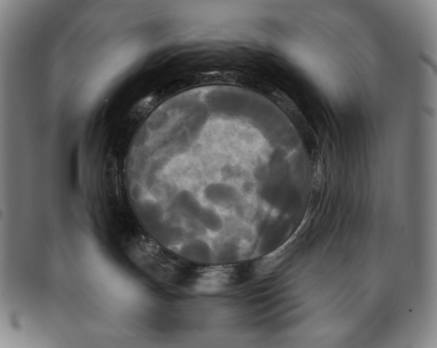 X0000095110191200801041209