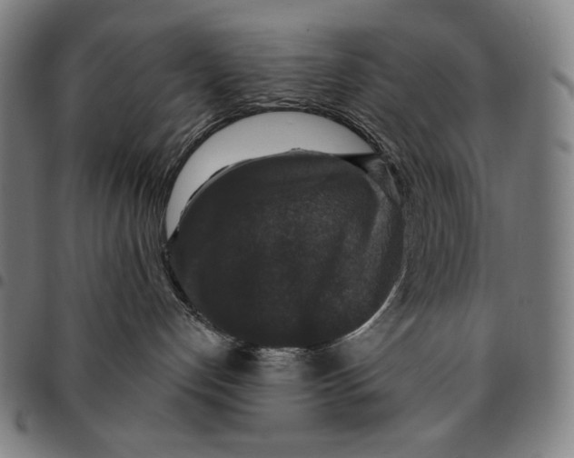 X0000095110192200801041209