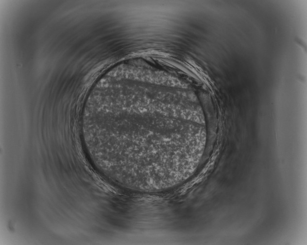X0000095110193200801041208