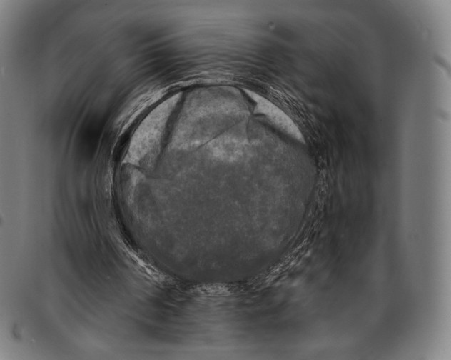 X0000095110194200801041208