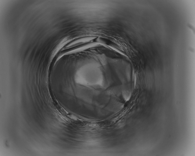 X0000095110195200801041208