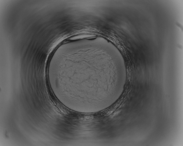 X0000095110196200801041208