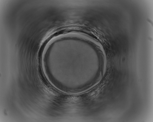 X0000095110198200801041208