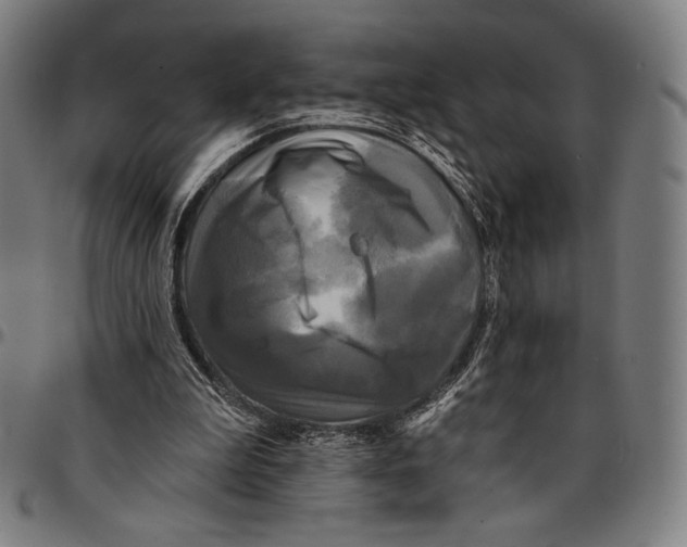 X0000095110199200801041208