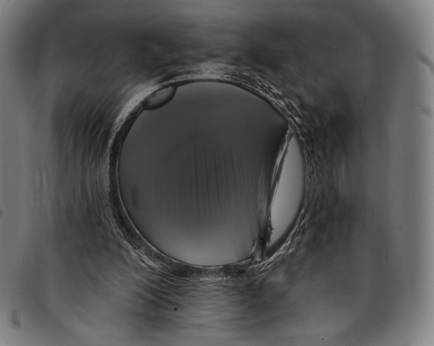 X0000095110200200801041208