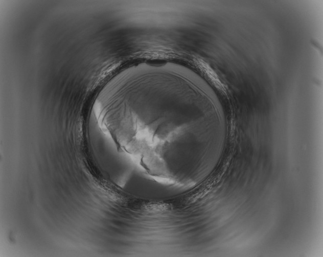 X0000095110202200801041208