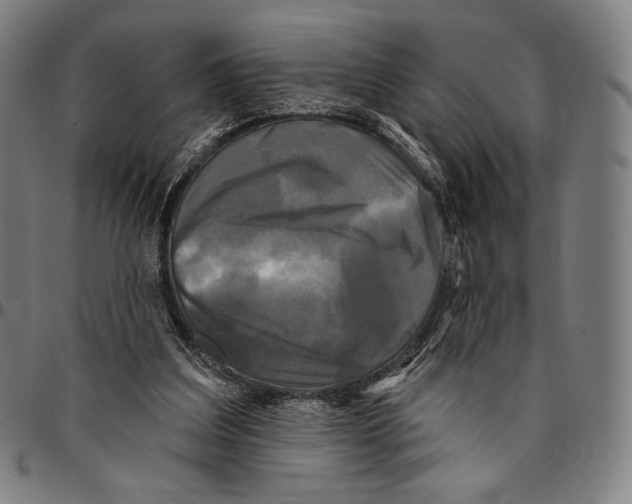 X0000095110203200801041208