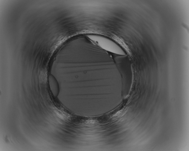 X0000095110204200801041208