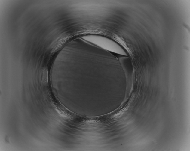 X0000095110205200801041208
