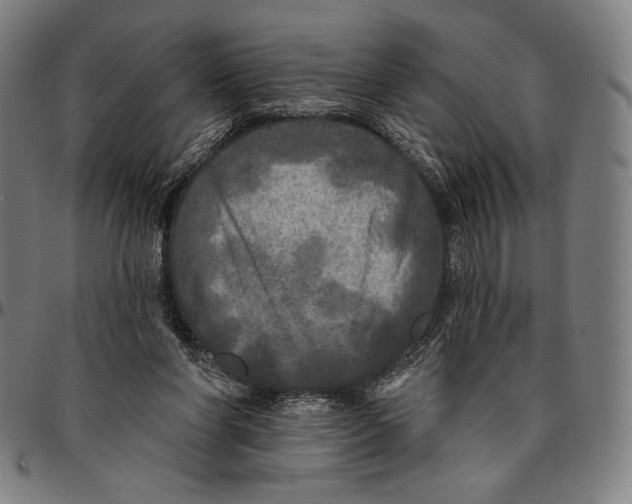 X0000095110206200801041208