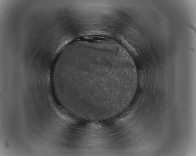 X0000095110207200801041208