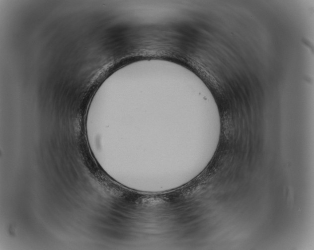 X0000095110208200801041208