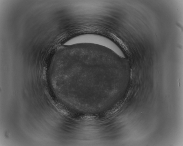 X0000095110209200801041208