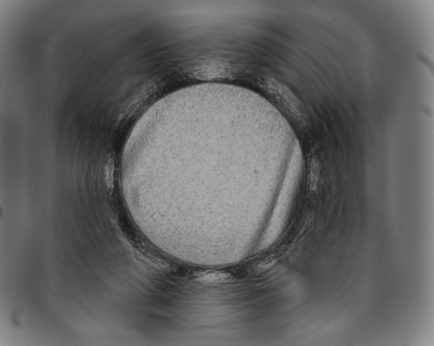 X0000095110210200801041208