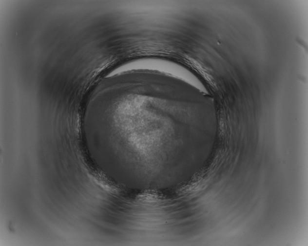 X0000095110211200801041208